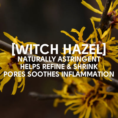 Witch Hazel Clay Face Mask