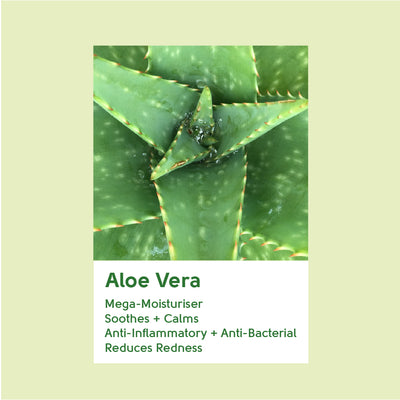 Aloe Vera Hydrating Facial Scrub