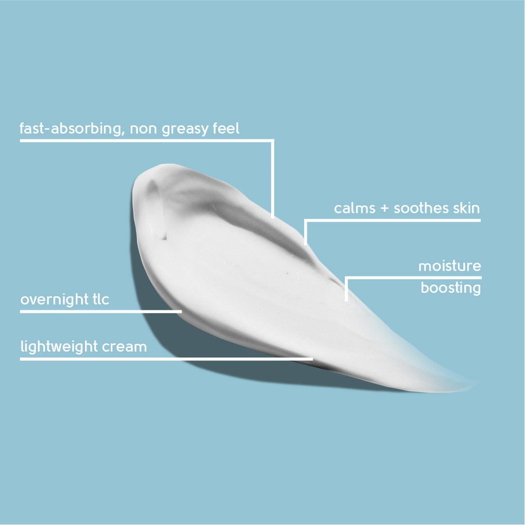 Face Facts Aloe Vera Hydrating Night Cream
