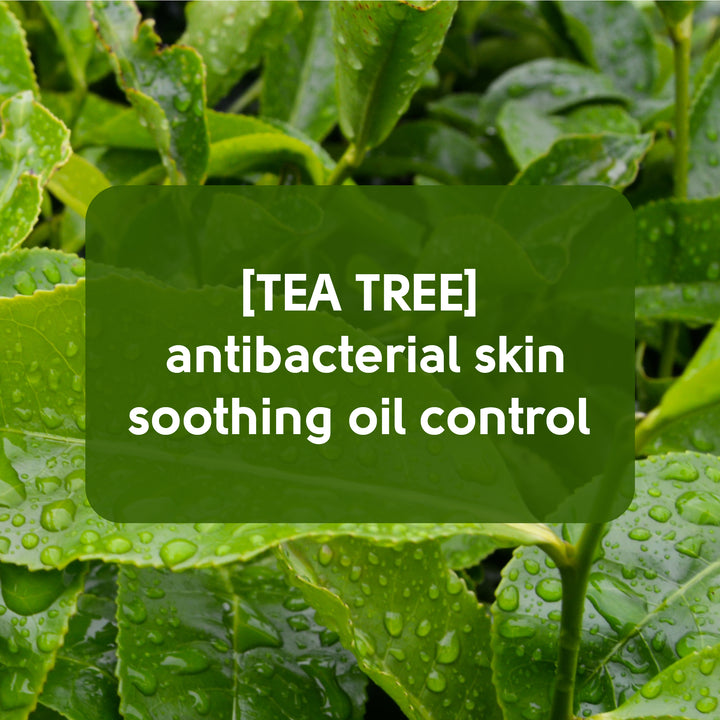 Face Facts Tea Tree Pore Cleansing Nose Strips